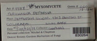 Image Associated With the Occurence